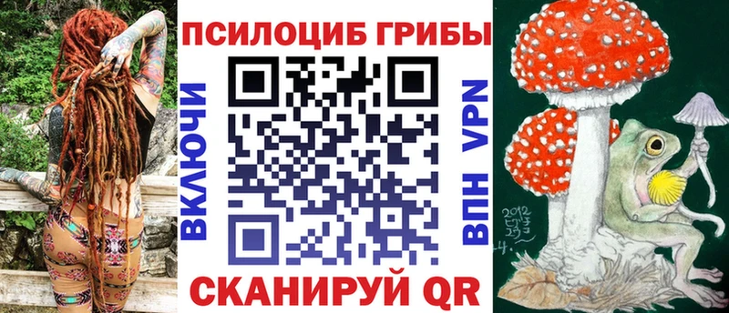 Галлюциногенные грибы мицелий закладка Шлиссельбург