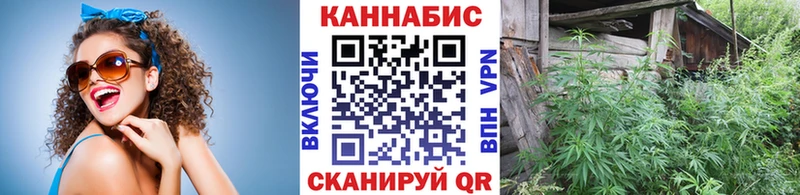 Бошки Шишки конопля  Шлиссельбург 